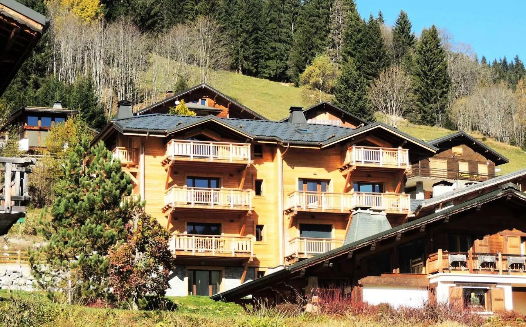 Appartamento Residence Appaloosa - Appartement Cosy Dans Petite Residence Mae-3451 Les Gets